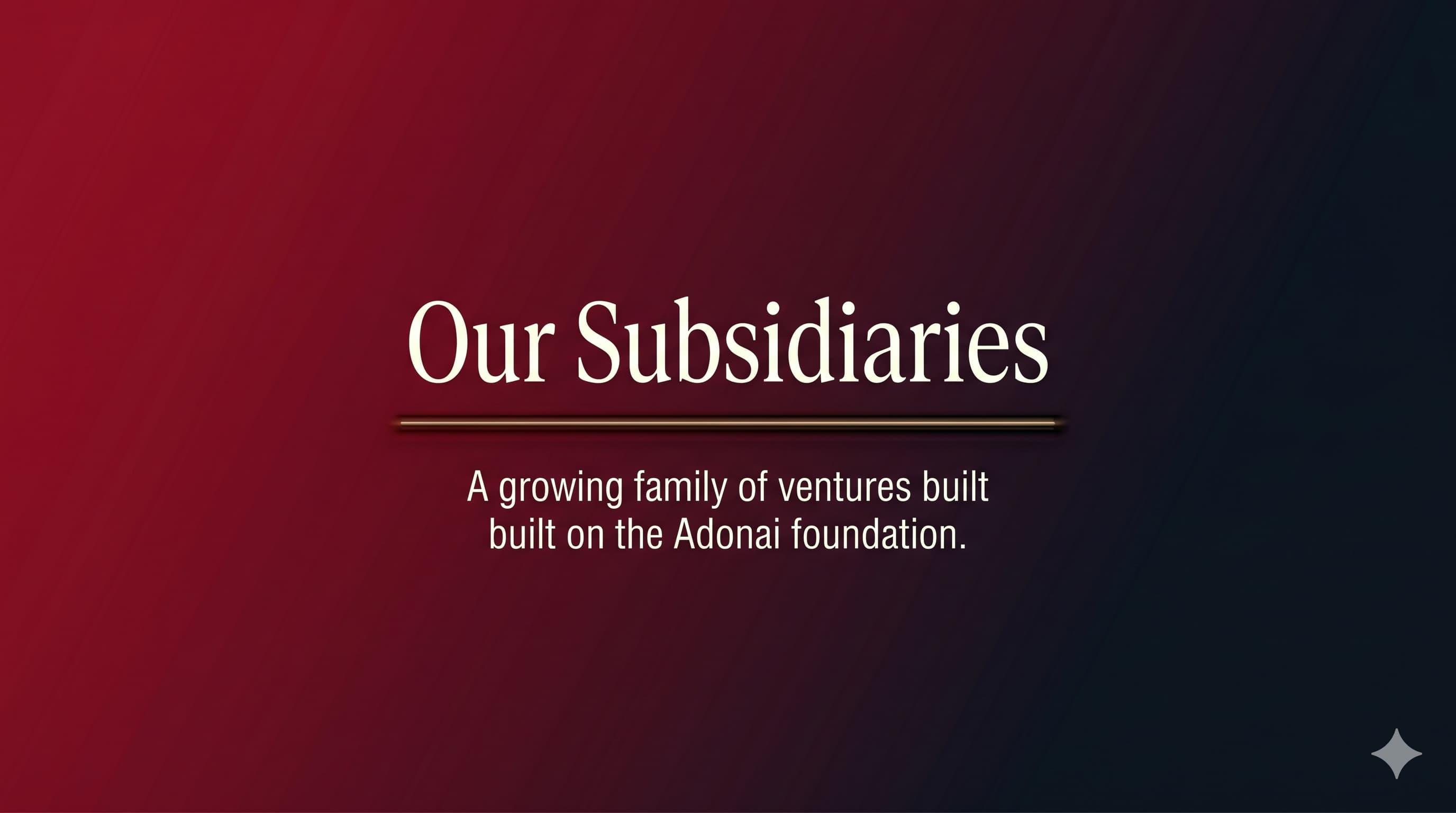 Our Subsidiaries