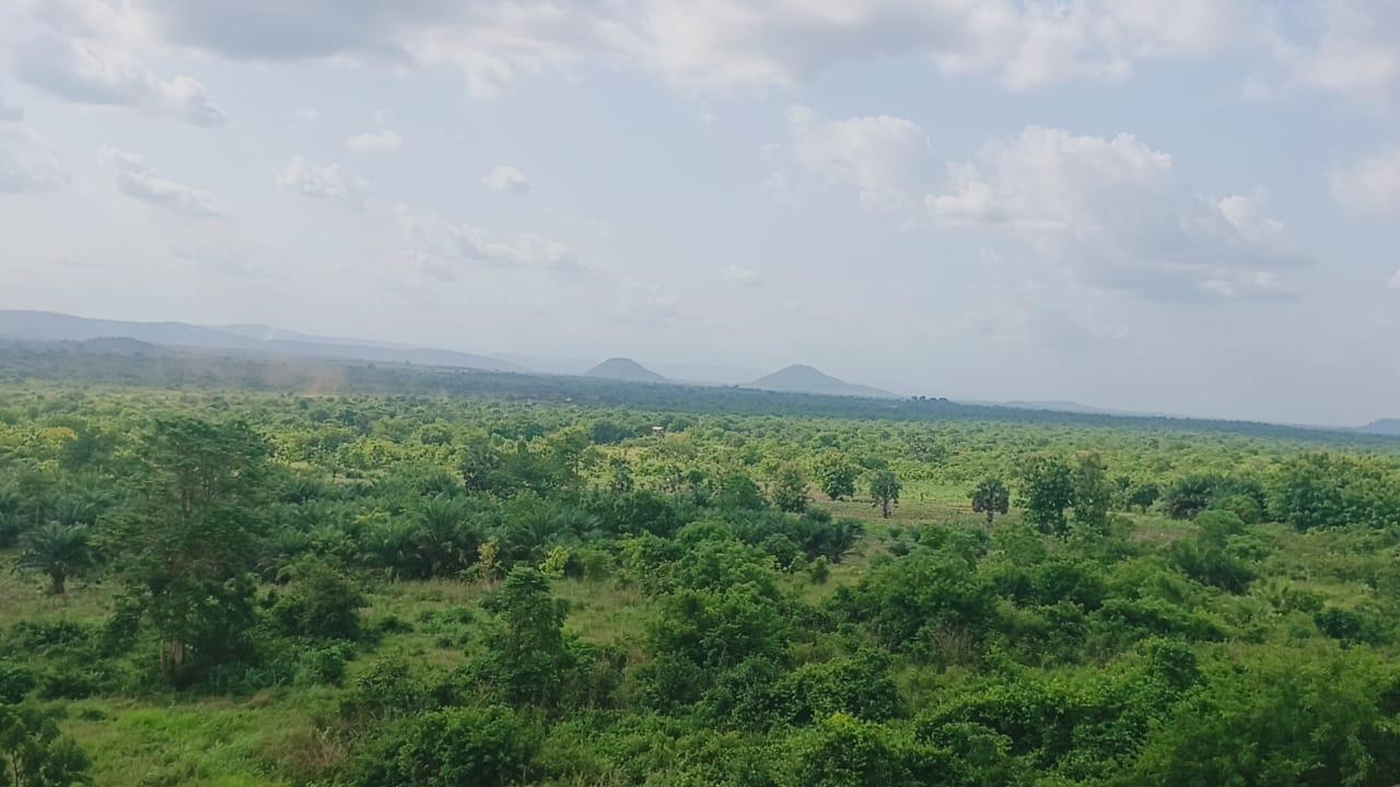 Residential Plots of Land at Golf City Hills