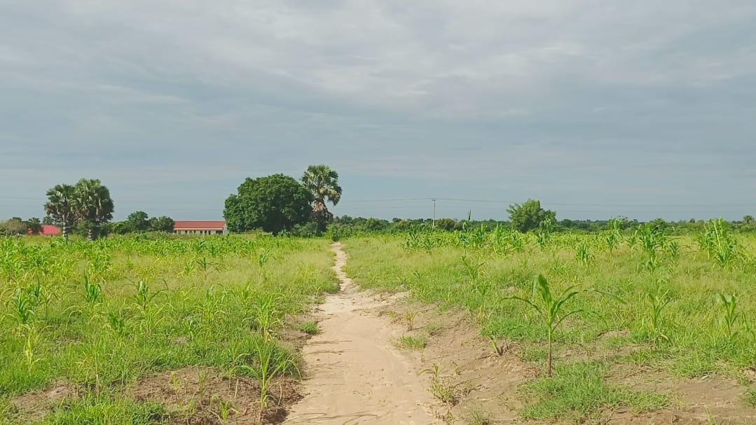 Residential Plots at Milllennium City
